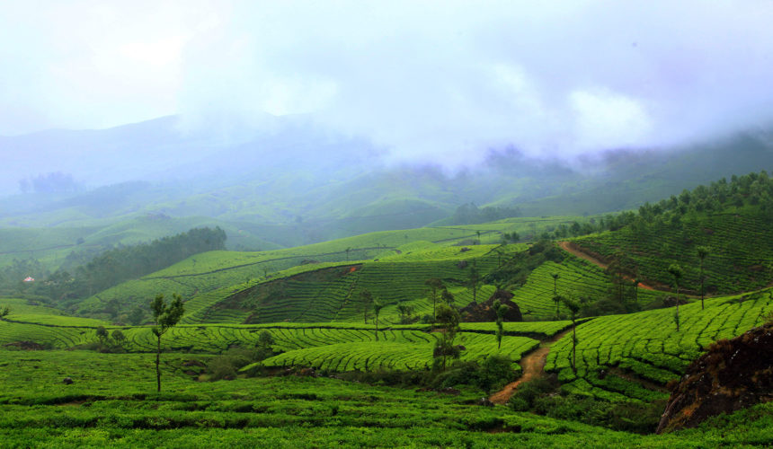 Why Munnar Is Known As The Kashmir Of South India