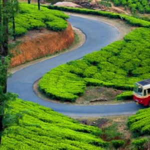 Tips For An Eco Friendly Travel To Munnar