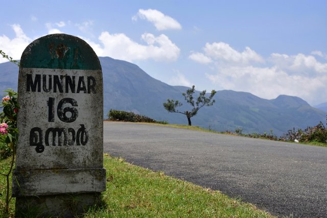 Best Routes To Munnar : How To Reach Munnar Safely?