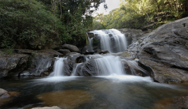 Reasons Why You Should Visit Munnar Today - Dream Coconut Villa Resort