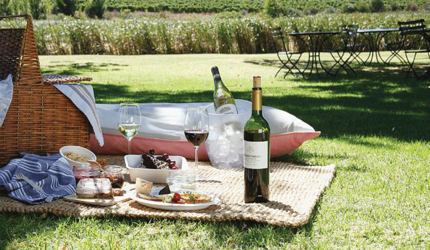 How To Plan A Perfect Picnic