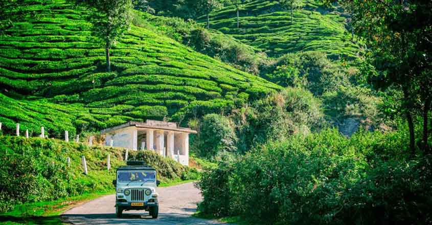 Get To Know Where All To Visit On Your Trip To Munnar