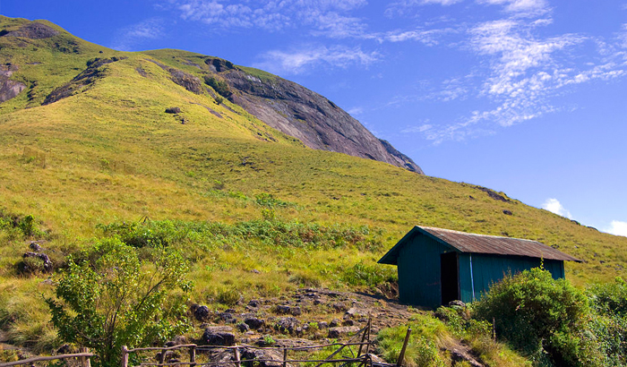 Welcome to God’s Own Country! Places To Visit In Munnar