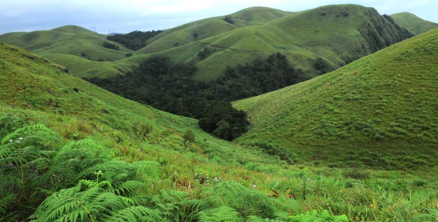 Adventure Parks In Munnar :  Awesome Thing For An Amazing Vacation  