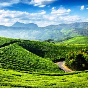 New Movies : Munnar  One of Top Shooting Location