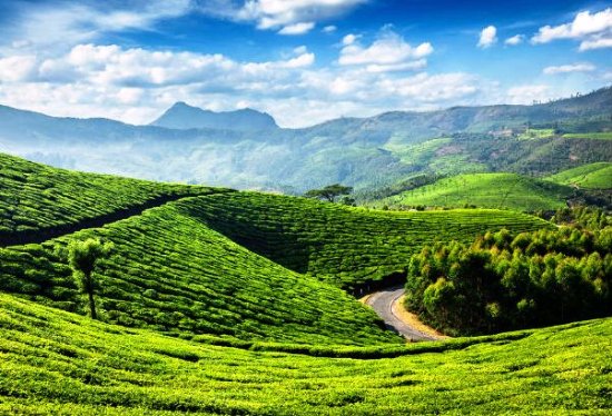 New Movies : Munnar  One of Top Shooting Location