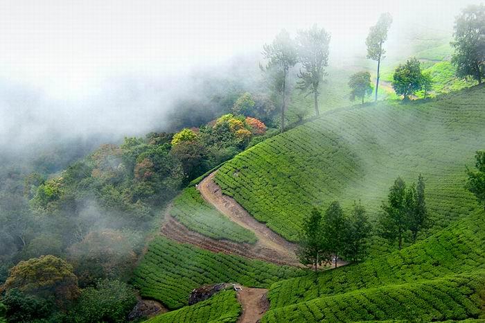 beat the heat in munnar