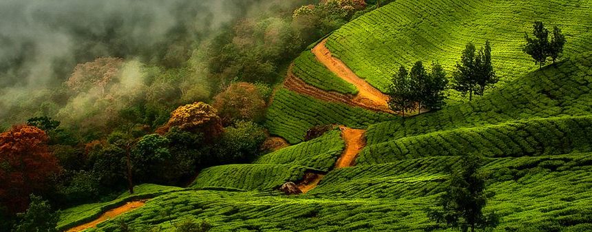 Munnar Attractions : Top Ten Places To Visit In Munnar