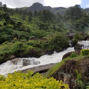 Monsoon Tourism In Kerala : Enjoy Rain In Munnar