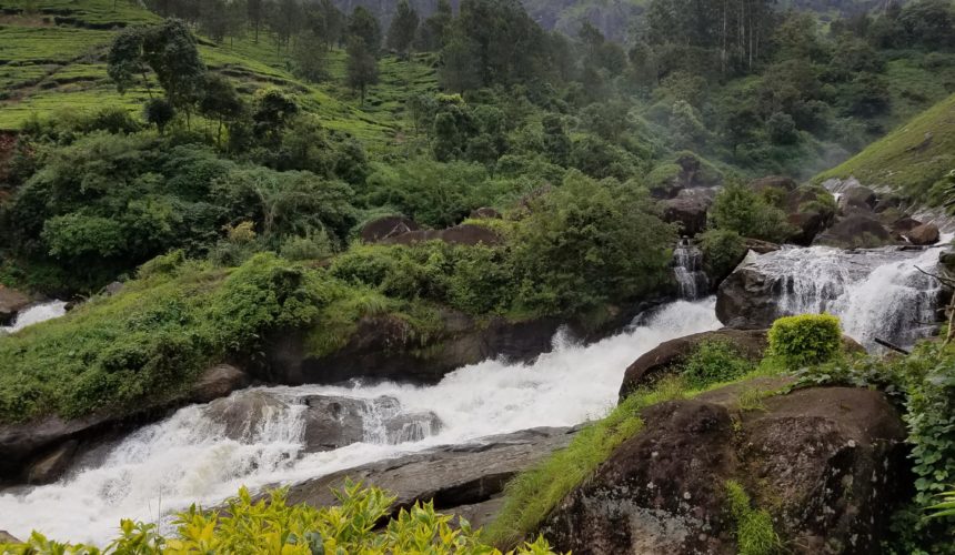 Monsoon Tourism In Kerala : Enjoy Rain In Munnar