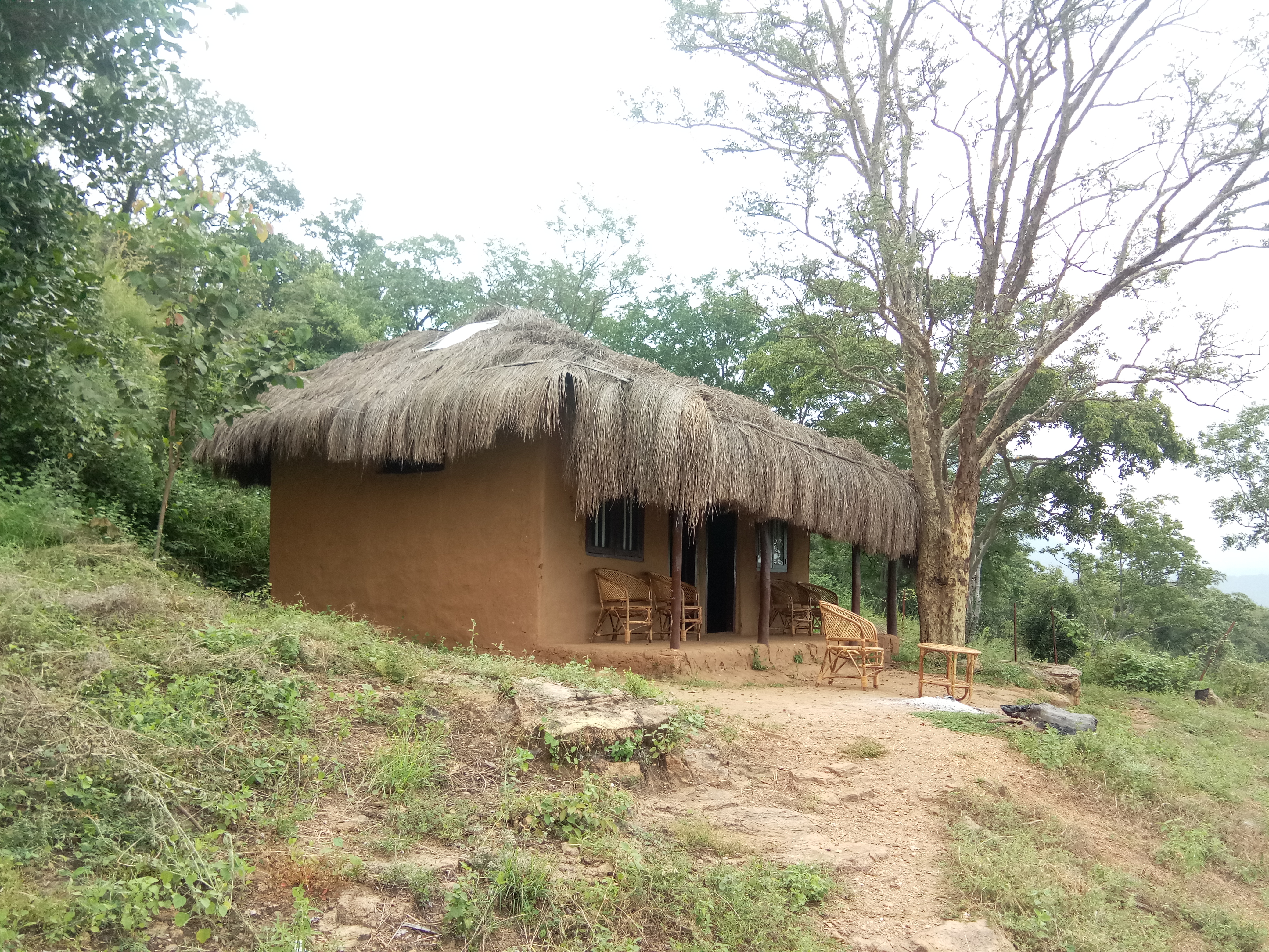 Resorts in munnar