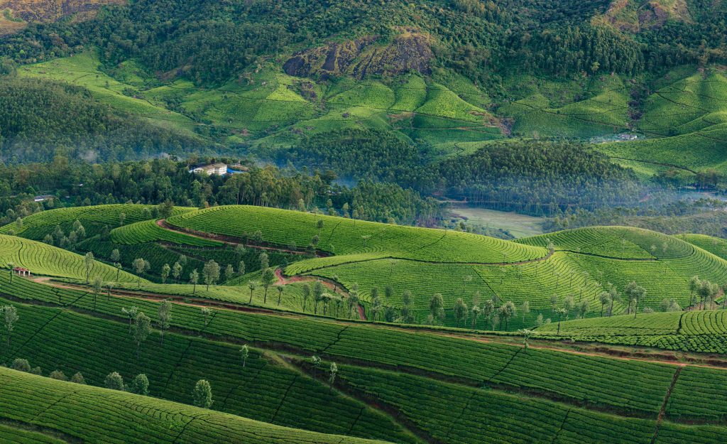 Best tourist attractions and scenic views in Munnar, Kerala